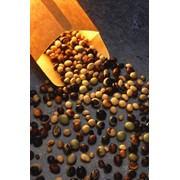 Экспорт семян бобовых культур