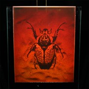 Сувенир голографический с подсветкой настольный Жук фото