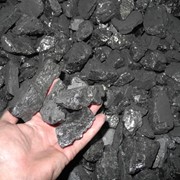 Уголь, концентрат угольный
