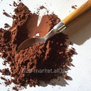 Какао-порошок алкализованный Schokinag S-75 фото