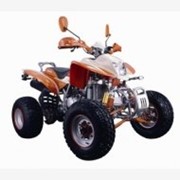 Квадроцикл Bashan ATV BS250cc фотография