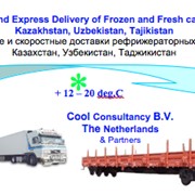 Экспресс доставка реф. грузов из Европы в Узбекистан, Казахстан, Таджикистан / Express Delivery of refrigerated cargoes from to Kazakhstan, Uzberkistan, Tajikistan