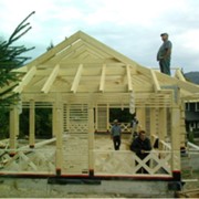 Cтроительство домов из цельной древесины фото