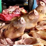 Головы свиные, оболочка натуральная свиная оптом