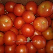 Семена томатов Грейс F1 фото