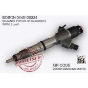 SHAANXI, FOTON-WP10 Форсунки фото