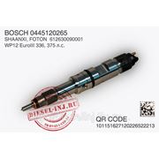 SHAANXI, FOTON WP12 Форсунки фото