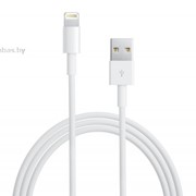 USB дата-кабель Lightning оригинальный для Apple iPhone 5, iPhone 5C, iPhone 5s, iPod 5, iPad mini, iPad 4
