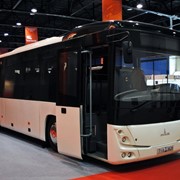 Автобус МАЗ 231