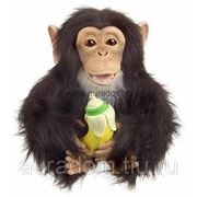 HASBRO обезьянка «Хочу на ручки» фото