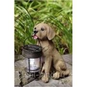 Фонарь садовый Собака с фонарем арт. R023