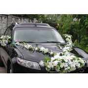 Украшения на свадебные авто (искусственными напрокат и живыми цветами) фото