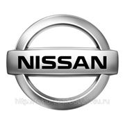 Габариты для автомобиля Nissan Terrano фотография