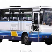 Перевозки автобусные туристические фотография