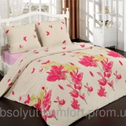 Комплект постельного белья ARYA Petunia бязь двойной 1001206 фото