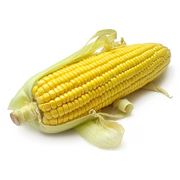 Кукуруза фуражная оптом