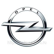 Защита картера Opel (8-961-289-97-77 - Игорь) фотография