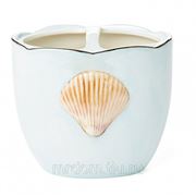 Стакан для зубных щеток mare shells seafoam (857822) фото