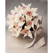 Букет невесты из орхидей фотография
