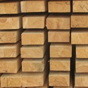 Сушка древесины в Виннице, услуги сушки древесины фото
