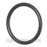 Резиновое кольцо O 100 для быстроразъемных соединений тип D. фото