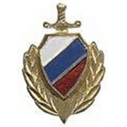 Эмблема петличная МВД РФ с эмалью фото
