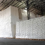 Wheat Flour For Export фото