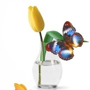 Флористические бабочки для цветов фото
