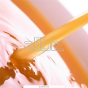 Подсолнечниковый мёд, свойства, польза фото