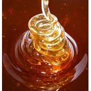 Мед акациевый, Мёд Алтайский фото
