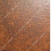 Комплект для обивки дверей гладкий (кожвинил 1м х 2, 05 м, утеплитель2, гвозди) Светло коричневый №716215 фото