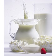 Сыворотка молочная сухая фото