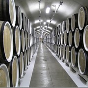 Фабрика по производству вина со своими собственными марками в Испании фото