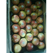 Яблоки свежие сорт Джона Голд калибр 75,85 фотография