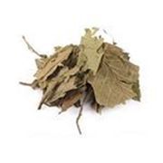 Грецкого ореха лист (листья) 200гр. фотография