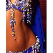 Программа Belly dance фото