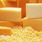 Сыр “Голландский“ фото