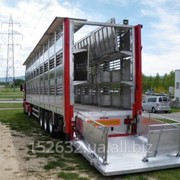 Полуприцеп для домашнего скота Castañé модель CR, длиной 13.800 Прицепы для перевозки животных