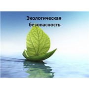 Экологический паспорт предприятия фото