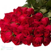 Красные розы от компании Bestflowers фото