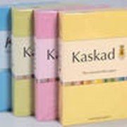 Бумага офисная цветная Fashion Kaskad фотография