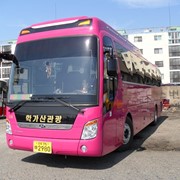 Туристический автобус HYUNDAI UNIVERSE EXSPRESS NOBLE фото