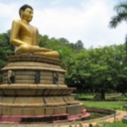 Отдых Шри-Ланка