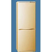 Холодильник XM 6021-081 фото