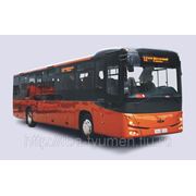 Автобус туристический МАЗ-231 (51-80мест) фотография