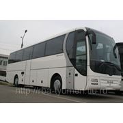 Автобус туристический MAN Lion's Coach (R07) (49+1+1мест) фотография