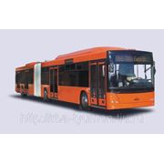 Автобус городской МАЗ-205 (39-175 мест) фото