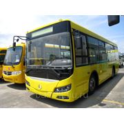 Городкой автобус Golden Dragon XML6845 фотография