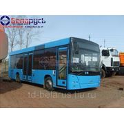 Автобус ман низкопольный на 25 мест, общая вместимость 72 МАЗ 206060 в Красноярске фото