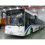 Автобус - НЕФАЗ - 52995